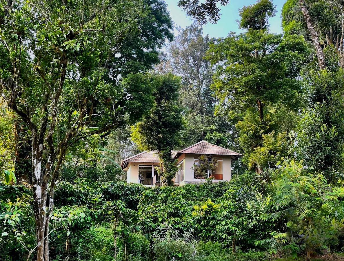Montrose Golf Resort And Spa - Coorg Jambur Buitenkant foto